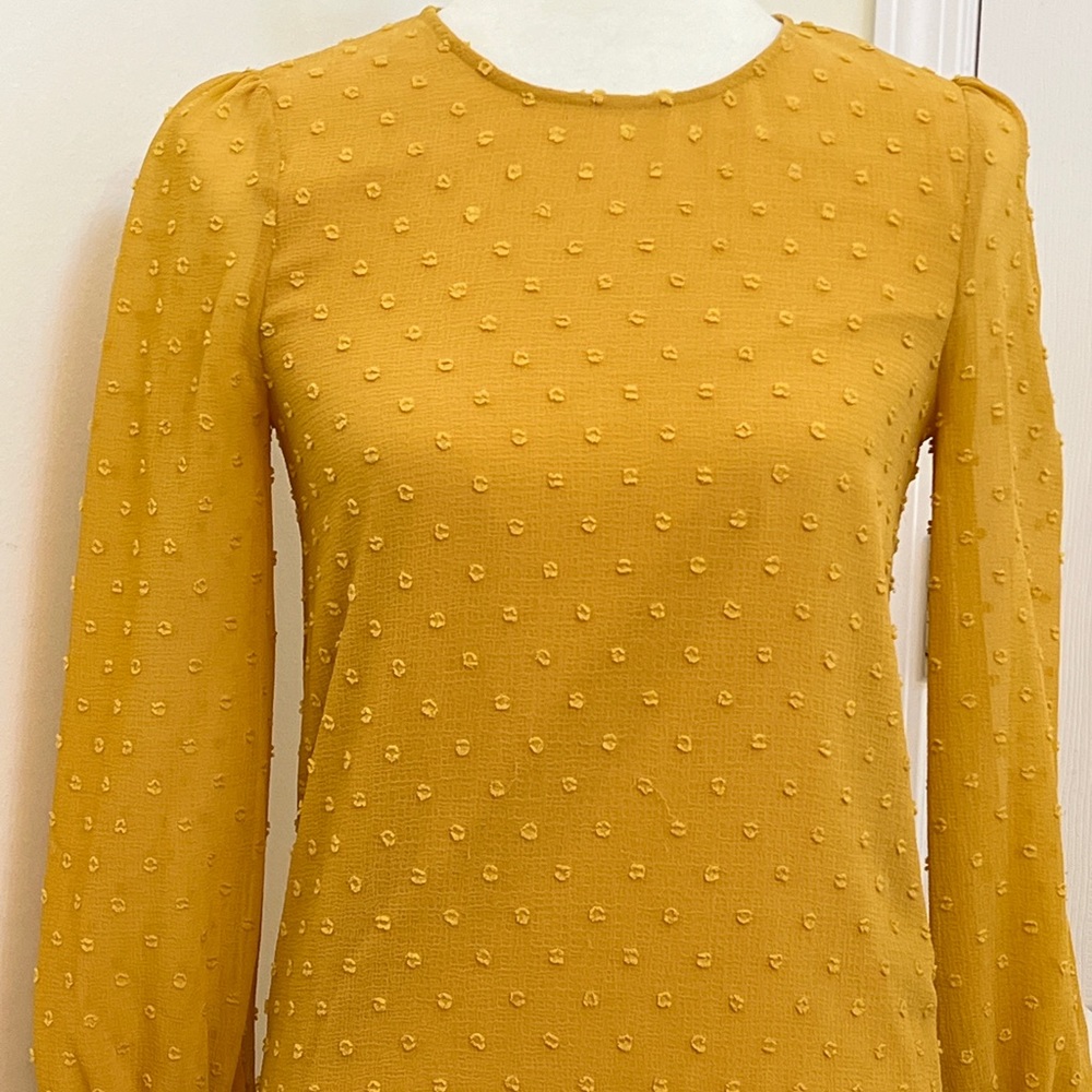 Gianni Bini Swiss Dot Sheath Dress, XS - Picture 5 of 9